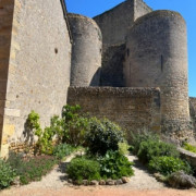 Journées Européennes du Patrimoine : Du château en ruines à l'ouverture du site culturel