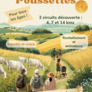 Marche des poussettes