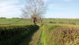 Balades vertes du Brionnais